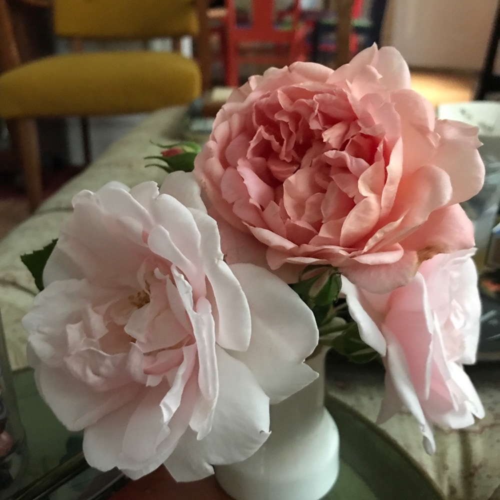 SpringTime🌸🤞 - Picture 12 of 16